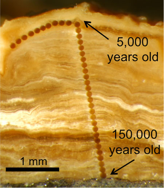 Illustration for article titled Rock Rings Reveal Surprising New Insights About North America's Climate Past